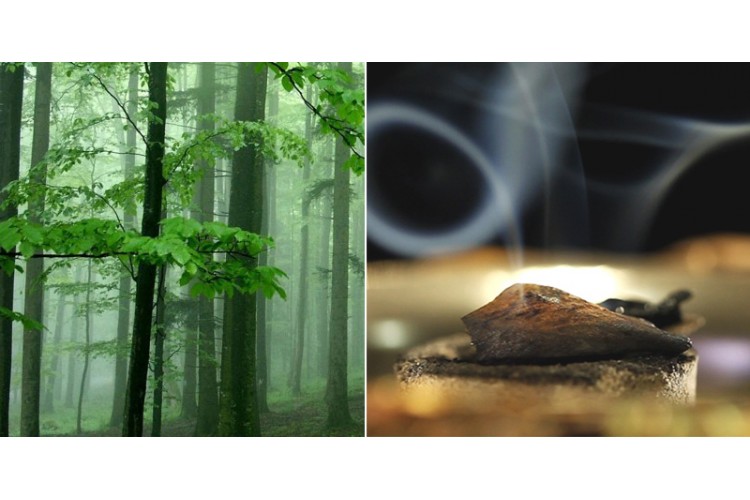 Agarwood Bracelet Guide | Benefits, History & Properties