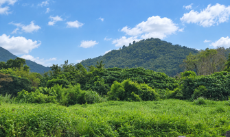 粉嶺獅頭嶺村村屋風水報告範本｜九運理氣與山環水抱格局全解析