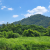粉嶺獅頭嶺村村屋風水報告範本｜九運理氣與山環水抱格局全解析