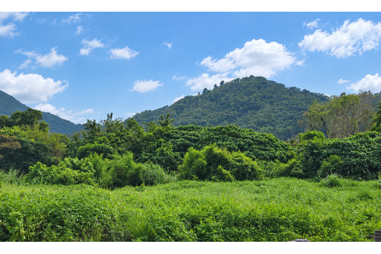 Feng Shui Audit Report Sample: Sze Tau Leng Village Fanling | Period 9 Analysis
