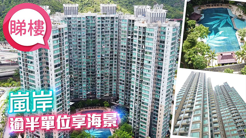 嵐岸建築呈U型設計，其中第六、七座為屋苑的聚氣點